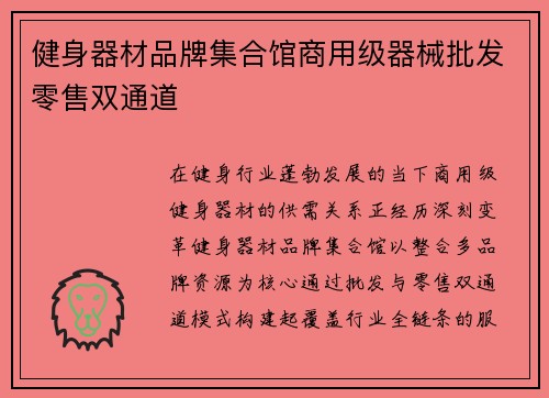 健身器材品牌集合馆商用级器械批发零售双通道
