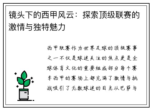 镜头下的西甲风云：探索顶级联赛的激情与独特魅力